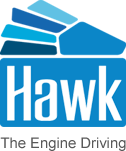 Website Logo